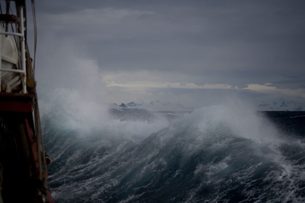 警告の甲斐もなくの写真