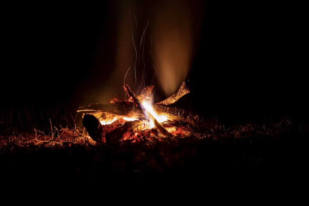 焚き火とペテロ②の写真