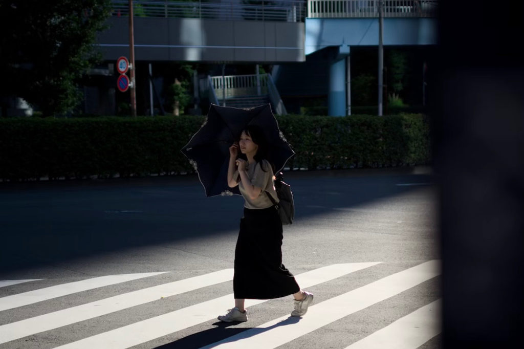 『日陰で一休み』の写真