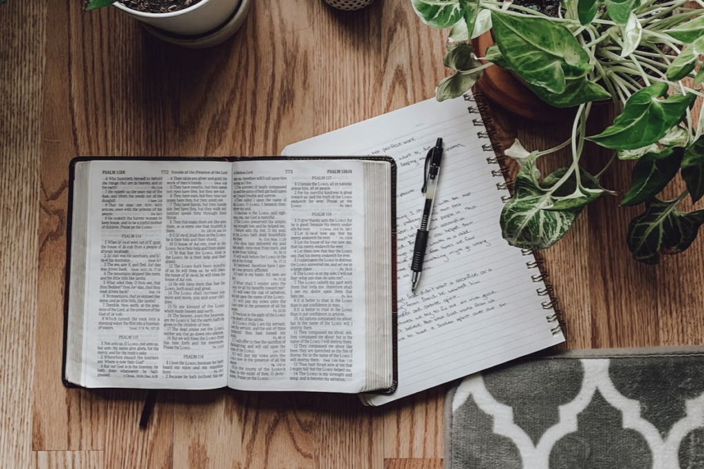 愚かな言葉の写真