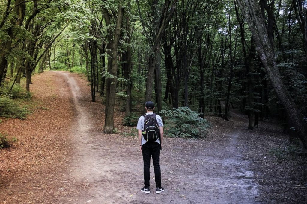 どちらかの選択の写真