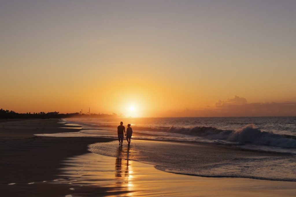 再び誠実を愛し、神さまと歩むの写真