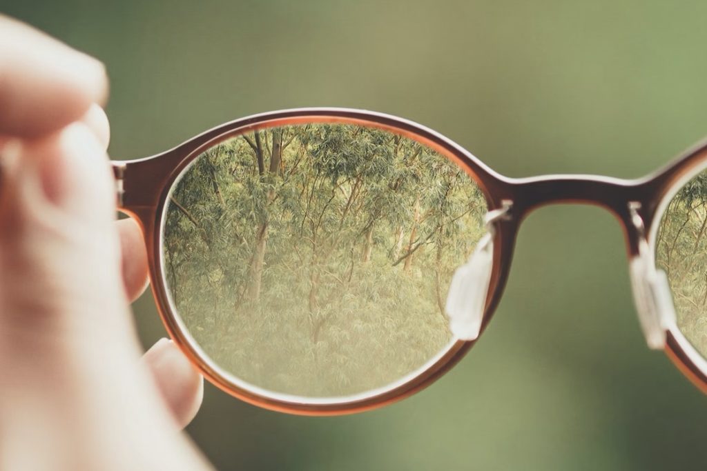 何を見ているかの写真