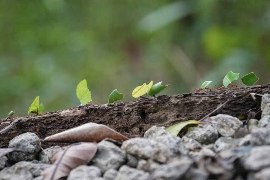 みんなは一人のために、一人はみんなのためにの写真