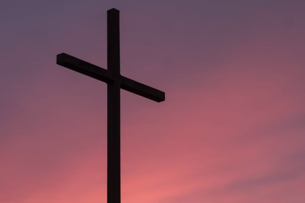 ボクのせいなのにの写真